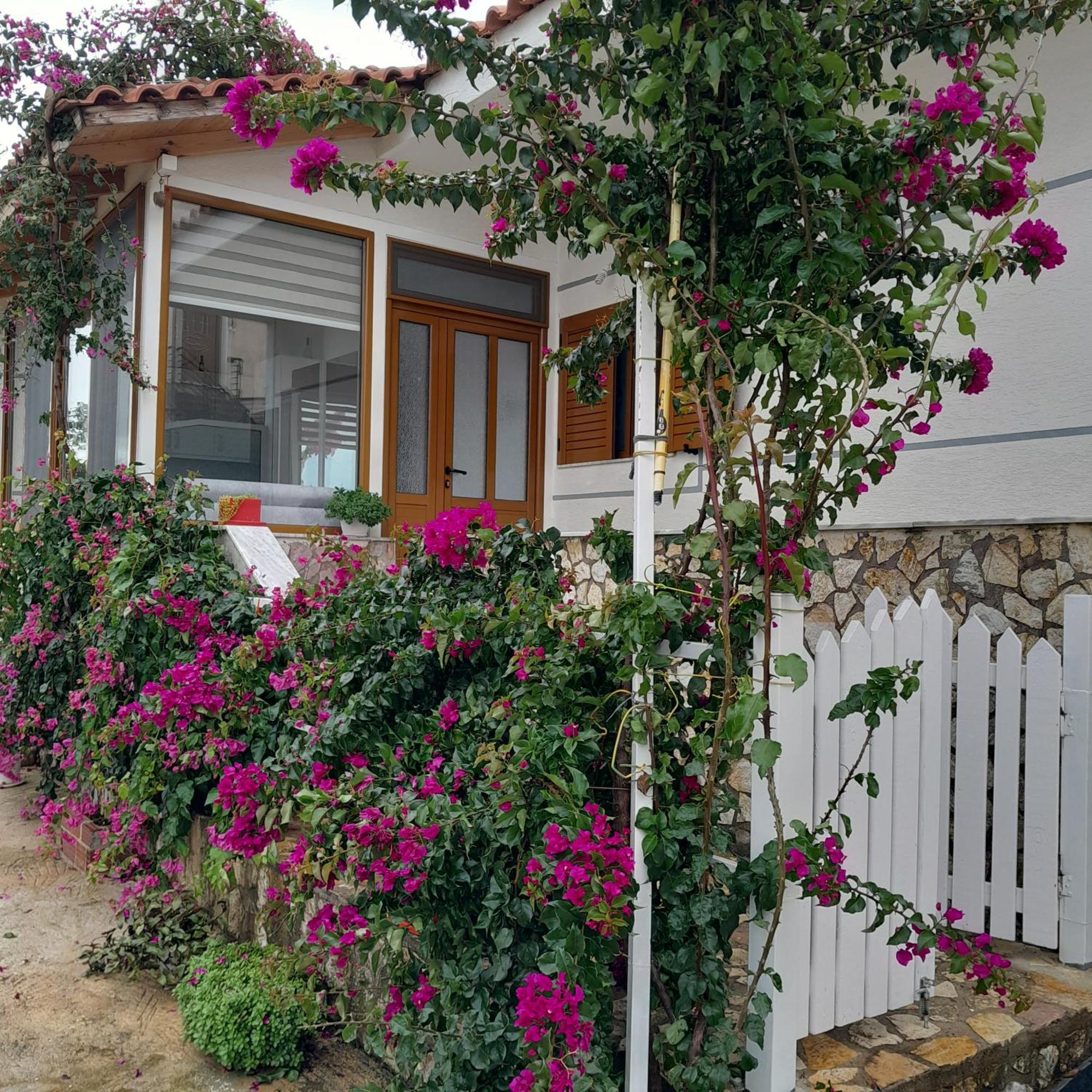 Luxury Dennis Home Saranda Kültér fotó
