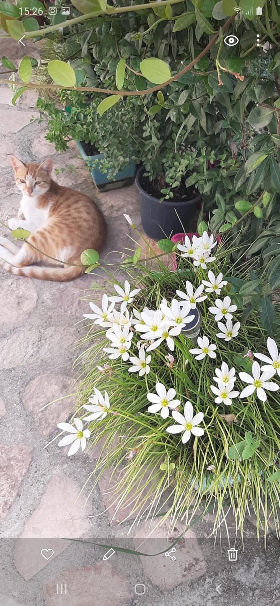 Luxury Dennis Home Saranda Kültér fotó